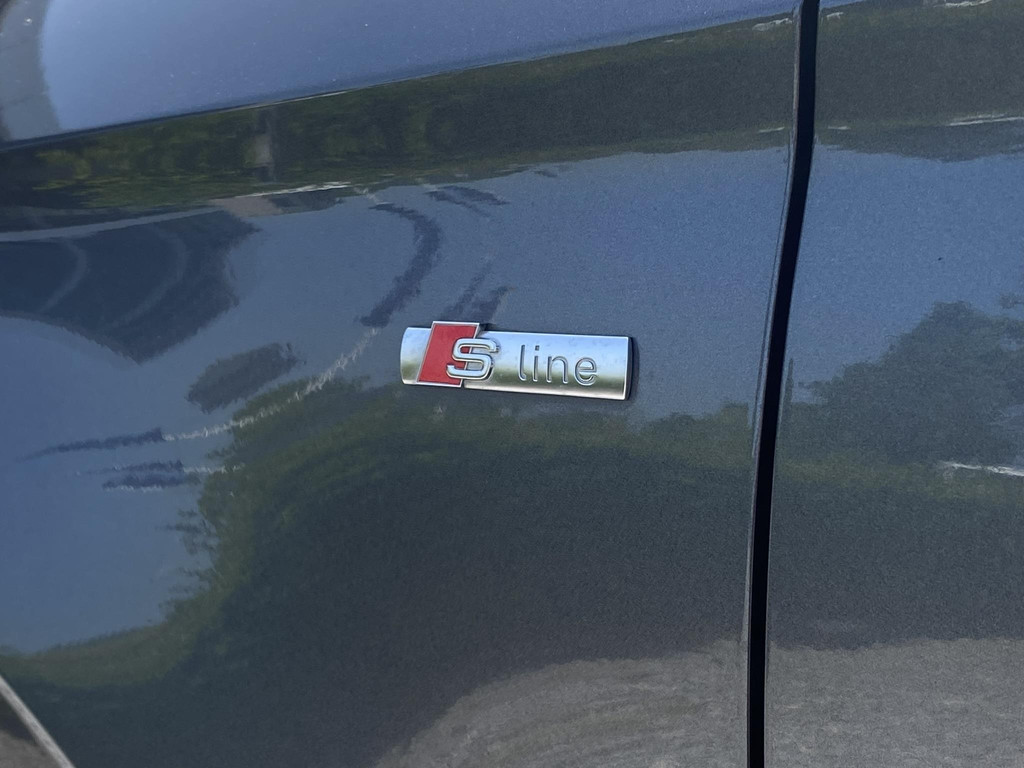 48675293-11.jpg